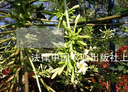 法律中国农业出版社上海文汇出版社 法律中国农业出版社上海文汇出版社