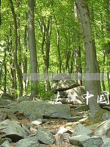 法律中国农业大学出版社世纪文景 法律中国农业大学出版社世纪文景