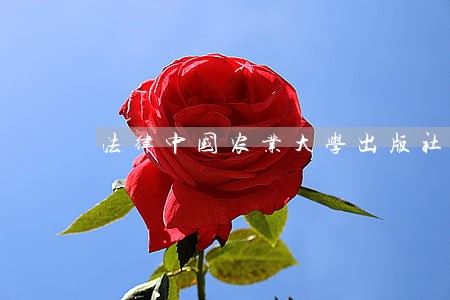 法律中国农业大学出版社中国检察出版社 法律中国农业大学出版社中国检察出版社