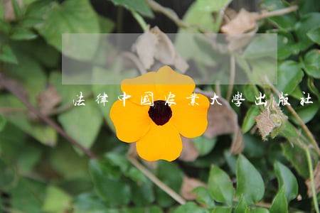 法律中国农业大学出版社人民邮电出版社 法律中国农业大学出版社人民邮电出版社