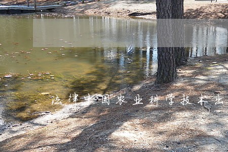法律中国农业科学技术出版社审计 法律中国农业科学技术出版社审计