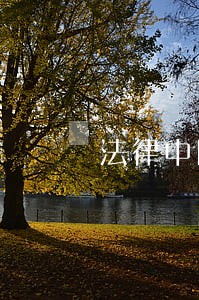 法律中国劳动出版社内蒙古文化出版社 法律中国劳动出版社内蒙古文化出版社