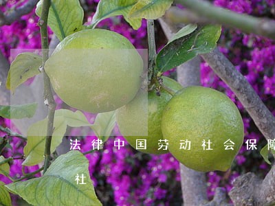 法律中国劳动社会保障出版社军事医学出版社 法律中国劳动社会保障出版社军事医学出版社