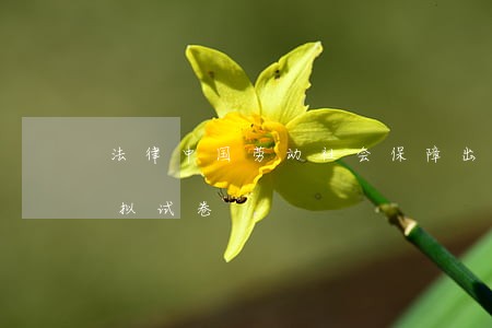 法律中国劳动社会保障出版社真题解析与模拟试卷 法律中国劳动社会保障出版社真题解析与模拟试卷