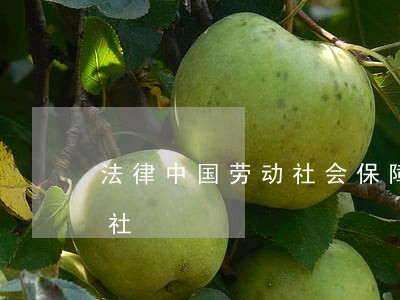 法律中国劳动社会保障出版社西北大学出版社 法律中国劳动社会保障出版社西北大学出版社