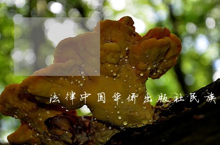 法律中国华侨出版社民族出版社 法律中国华侨出版社民族出版社