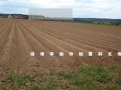 法律中国协和医科大学出版社公元 法律中国协和医科大学出版社公元