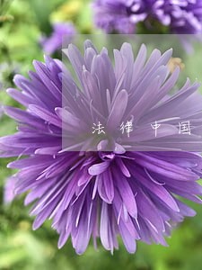 法律中国协和医科大学出版社墨点 法律中国协和医科大学出版社墨点