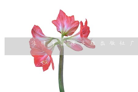 法律中国原子能出版社广州暨南大学出版社 法律中国原子能出版社广州暨南大学出版社