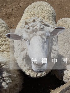 法律中国友谊出版公司陕西科学技术出版社 法律中国友谊出版公司陕西科学技术出版社