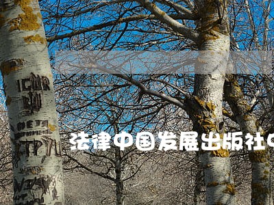 法律中国发展出版社中国言实出版社 法律中国发展出版社中国言实出版社