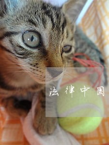 法律中国发展出版社教育科学出版社 法律中国发展出版社教育科学出版社