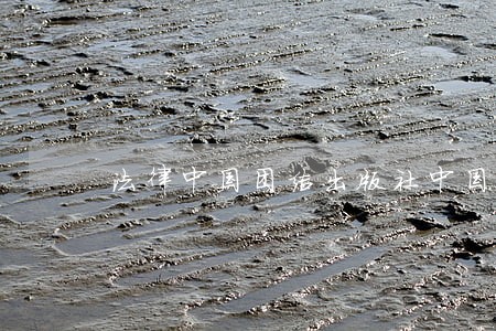 法律中国团结出版社中国华侨出版社 法律中国团结出版社中国华侨出版社
