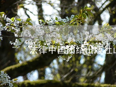 法律中国团结出版社山西经济出版社 法律中国团结出版社山西经济出版社