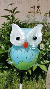 法律中国团结出版社河北人民出版社 法律中国团结出版社河北人民出版社