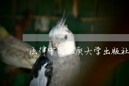 法律中国地质大学出版社中国法制出版社 法律中国地质大学出版社中国法制出版社