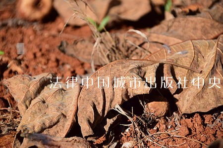法律中国城市出版社中央编译出版社 法律中国城市出版社中央编译出版社