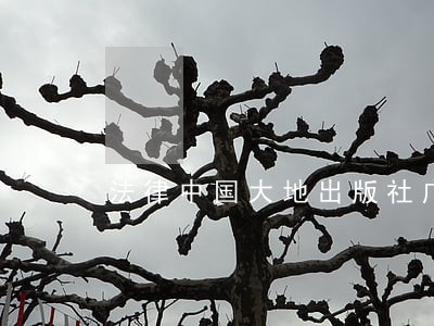 法律中国大地出版社广东南方日报出版社 法律中国大地出版社广东南方日报出版社