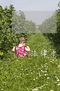 法律中国大学出版社国家开放大学出版社 法律中国大学出版社国家开放大学出版社