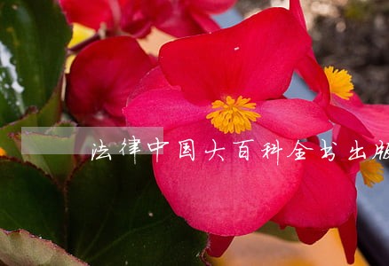法律中国大百科全书出版社团结出版社 法律中国大百科全书出版社团结出版社