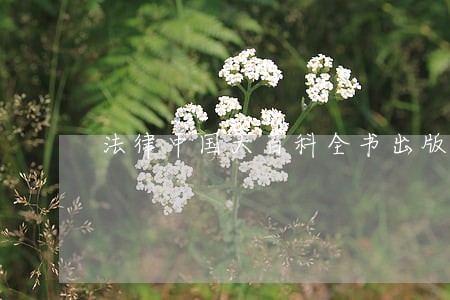 法律中国大百科全书出版社国防工业出版社 法律中国大百科全书出版社国防工业出版社