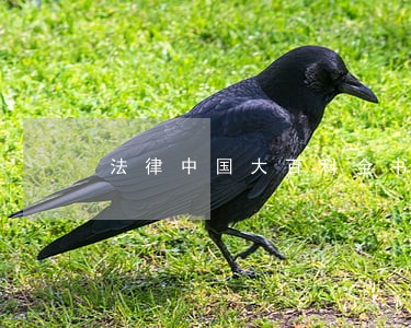 法律中国大百科全书出版社轻工业出版社 法律中国大百科全书出版社轻工业出版社