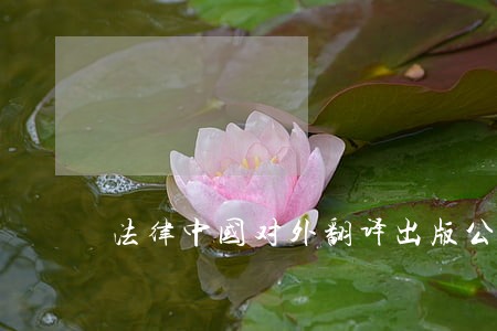 法律中国对外翻译出版公司新疆人民出版社 法律中国对外翻译出版公司新疆人民出版社