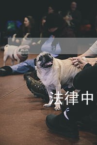 法律中国对外翻译出版公司童客