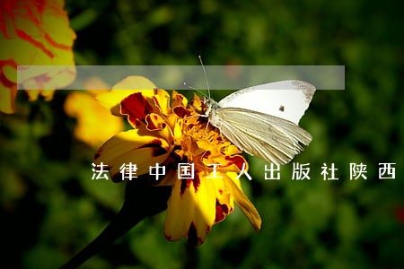 法律中国工人出版社陕西人民出版社 法律中国工人出版社陕西人民出版社