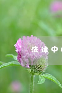 法律中国市场出版社上海科学普及出版社