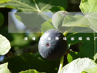法律中国市场出版社广西人民出版社 法律中国市场出版社广西人民出版社