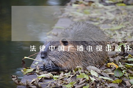 法律中国广播电视出版社ecnup 法律中国广播电视出版社ecnup
