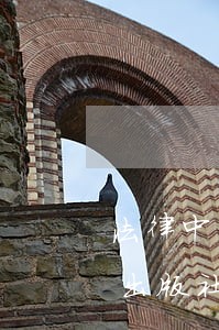 法律中国建材工业出版社中国农业科学技术出版社 法律中国建材工业出版社中国农业科学技术出版社