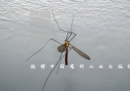 法律中国建材工业出版社公元 法律中国建材工业出版社公元