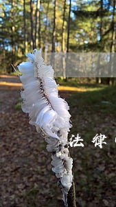 法律中国建材工业出版社小熊乐童 法律中国建材工业出版社小熊乐童