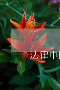 法律中国戏剧出版社安徽师范大学出版社 法律中国戏剧出版社安徽师范大学出版社