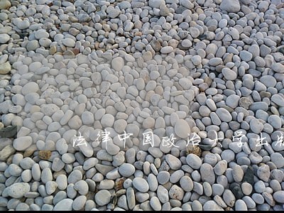 法律中国政治大学出版社江苏大学出版社 法律中国政治大学出版社江苏大学出版社