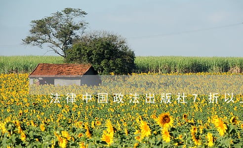 法律中国政法出版社7折以上 法律中国政法出版社7折以上