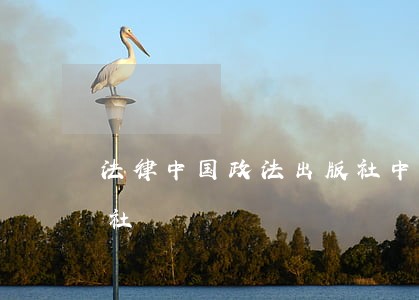 法律中国政法出版社中国劳动社会保障出版社 法律中国政法出版社中国劳动社会保障出版社