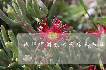 法律中国政法大学出版社上海译文出版社 法律中国政法大学出版社上海译文出版社