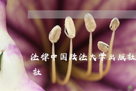 法律中国政法大学出版社中国人民大学出版社 法律中国政法大学出版社中国人民大学出版社