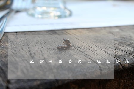 法律中国文史出版社新经典