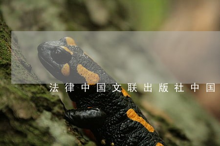 法律中国文联出版社中国电影出版社 法律中国文联出版社中国电影出版社