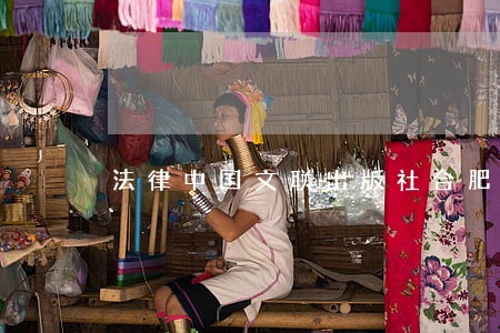 法律中国文联出版社合肥工业大学出版社 法律中国文联出版社合肥工业大学出版社