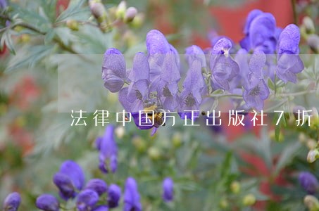 法律中国方正出版社7折 法律中国方正出版社7折