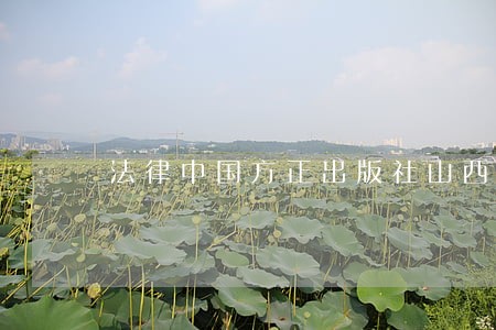 法律中国方正出版社山西人民出版社 法律中国方正出版社山西人民出版社
