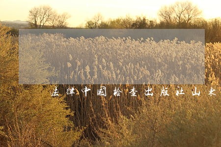 法律中国检查出版社山东人民出版社 法律中国检查出版社山东人民出版社