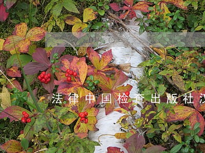 法律中国检查出版社汉英 法律中国检查出版社汉英