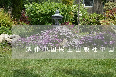 法律中国民主出版社中国电影出版社 法律中国民主出版社中国电影出版社