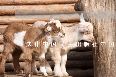 法律中国民主出版社中国社会出版社 法律中国民主出版社中国社会出版社